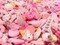 Pink Kawaii Charm Mix, 25pc Cute Resin Cabochon Charm Grab Bag, Adorabilities